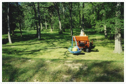 Beck: Easter Egg Hunt Texas Size Beck: Easter Egg Hunt Texas Size
